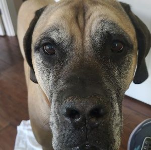 Meet your Posher, Robyn